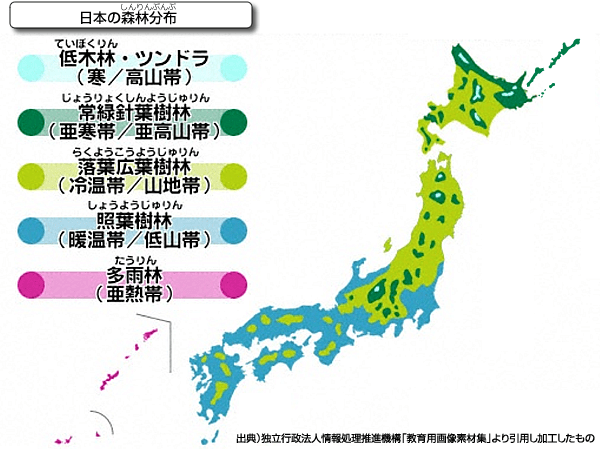 日本の森林分布